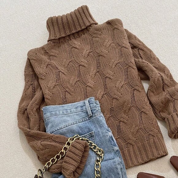 Brown Casual Women's Comfortable Twisted Rope Pattern Textured High neck sweater - Picture 4 of 5